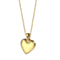 Erototropia heart necklace